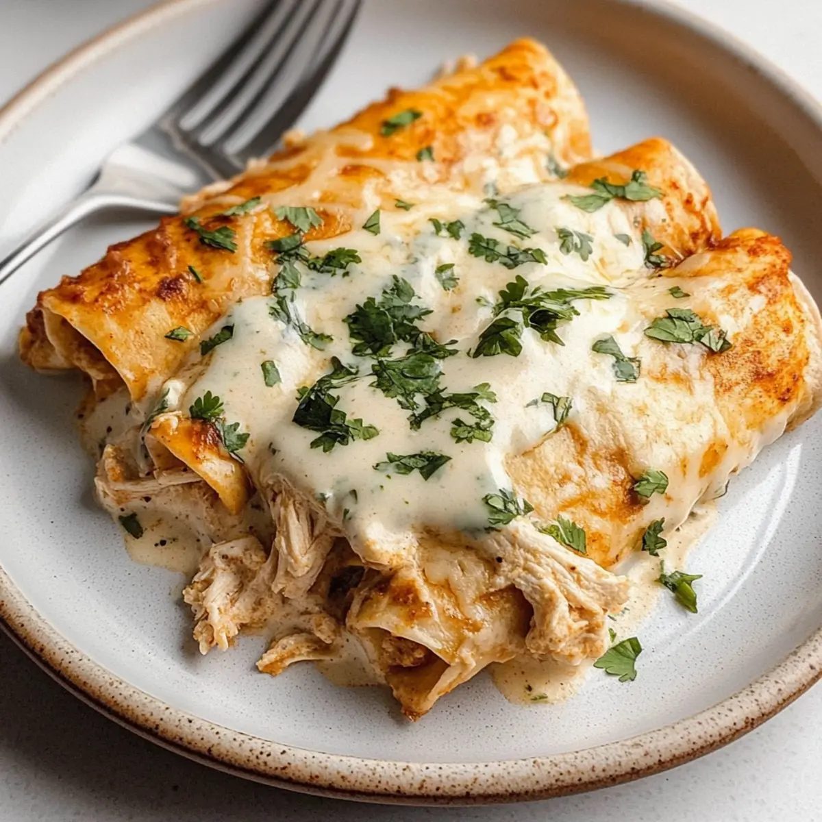 Comforting Shredded Chicken Enchiladas with Cheesy Sour Cream Sauce